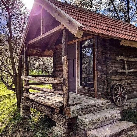 Tinutul Luanei Glamping Resort Bozioru Exterior foto