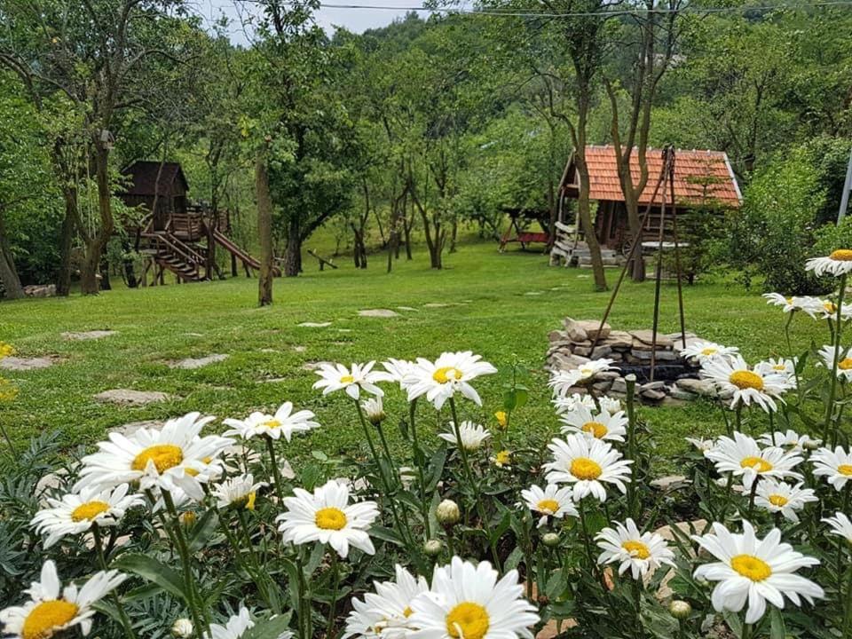 Tinutul Luanei Glamping Resort Bozioru Exterior foto