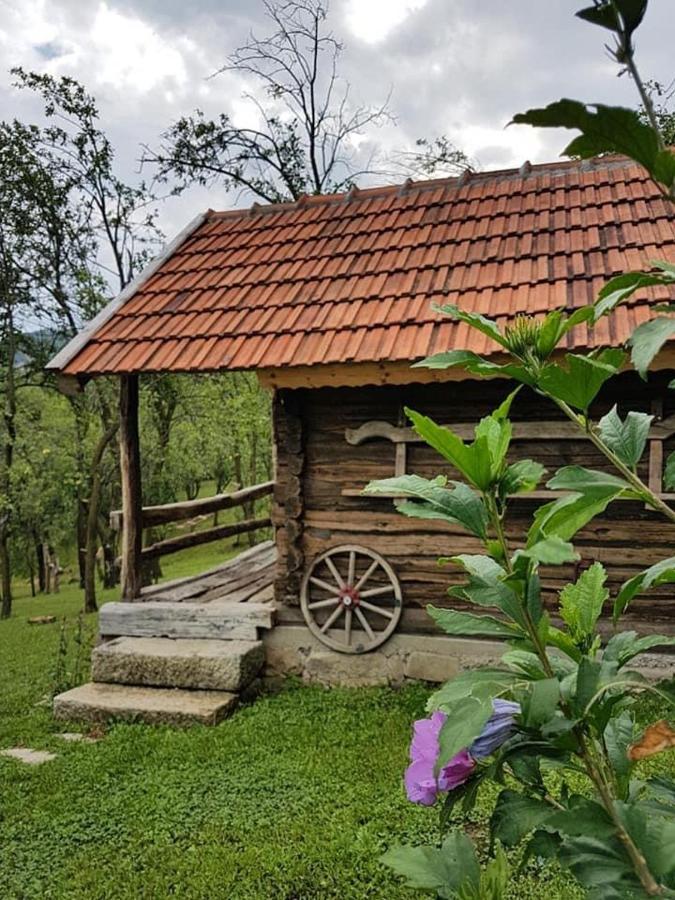 Tinutul Luanei Glamping Resort Bozioru Exterior foto