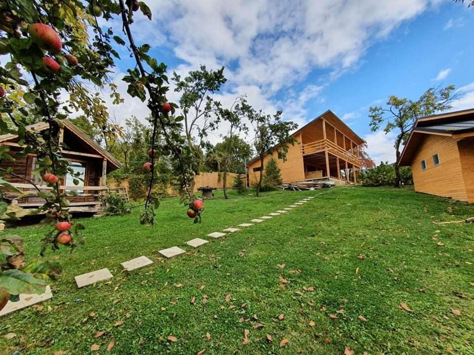 Tinutul Luanei Glamping Resort Bozioru Exterior foto