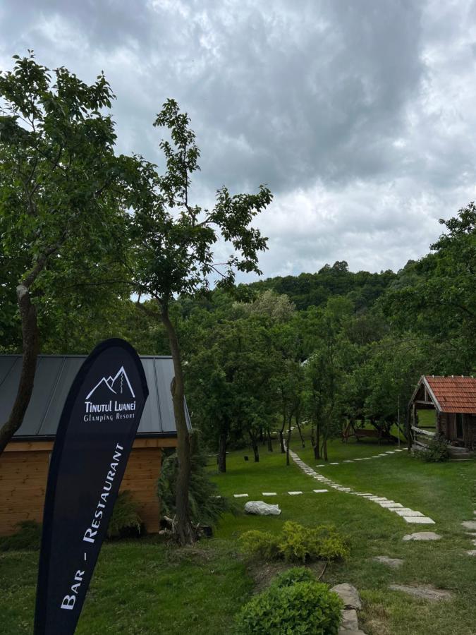 Tinutul Luanei Glamping Resort Bozioru Exterior foto