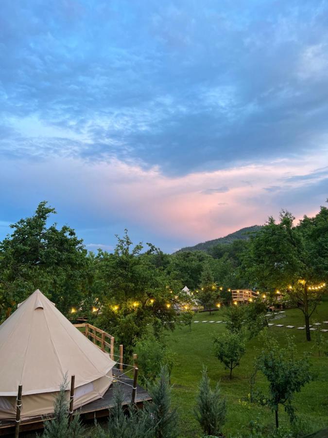 Tinutul Luanei Glamping Resort Bozioru Exterior foto