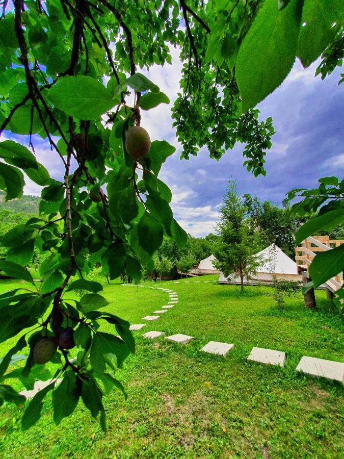 Tinutul Luanei Glamping Resort Bozioru Exterior foto