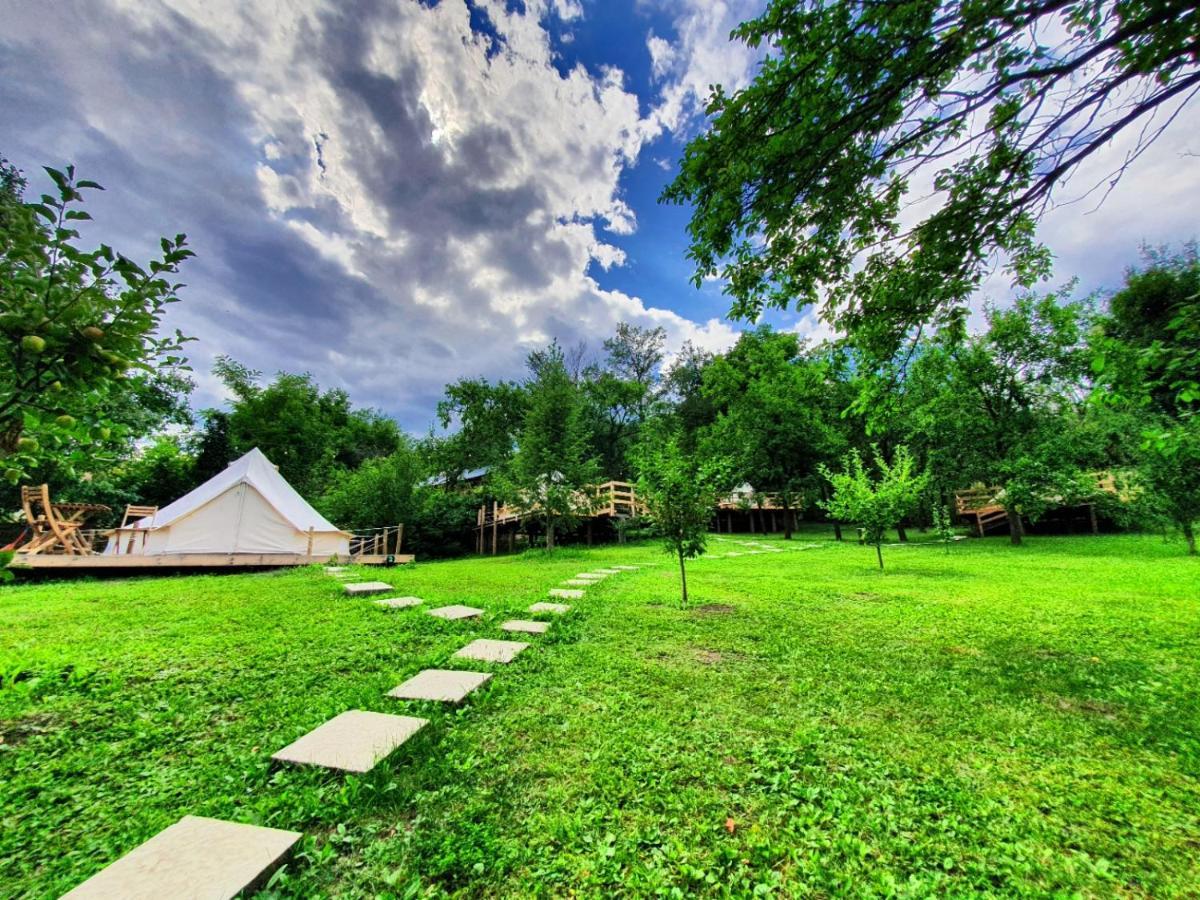 Tinutul Luanei Glamping Resort Bozioru Exterior foto